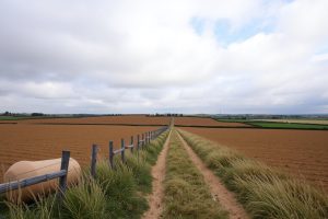 Mejores casas de turismo rural en A Coruña (2026)