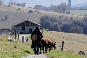 Mejores casas de turismo rural en Lugo (2026)